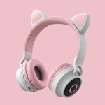 Kitten cat's Fan Group