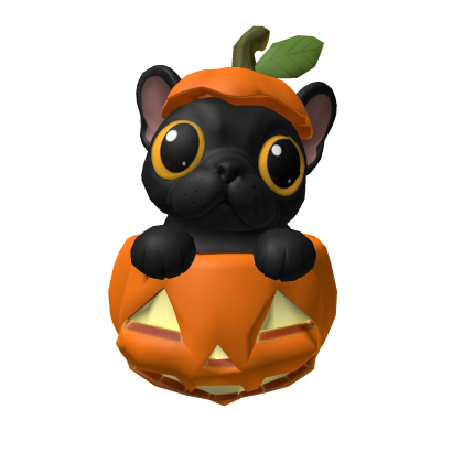 Pumpkin pibble/ Pumpkin Frenchie