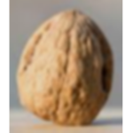 Walnut Inc.