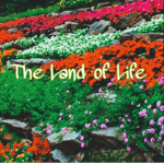 The Land Of Life