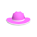 Pinkworth Stetson