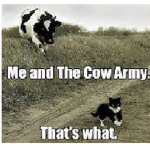 <3 Cow Army!