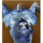 Storm group chachacha