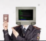 THE TCU INSPECTOR CORP