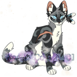 Warrior Cats [WC]