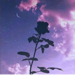 NightSync
