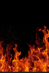 ‘arsonists’