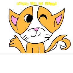 Cat obby