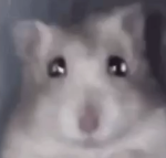 The Hamster Hierarchy