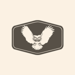 The Order Of Owls