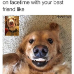 bravery bffs <3