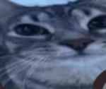 hxssn