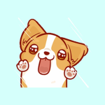corgi fashion