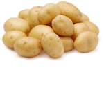 POTATO TEAM!!