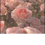 your amazing the way you are