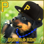ParkSide Varrio
