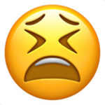 Robux Money For Life Boo