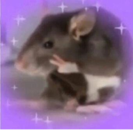 gothic rat city <3