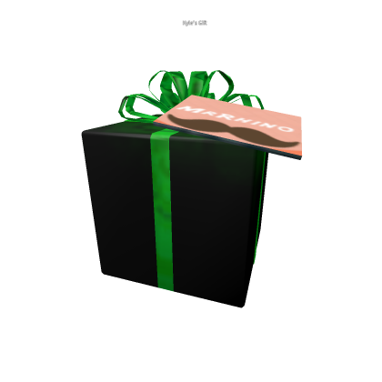 Kyle's toy bloxikin gift