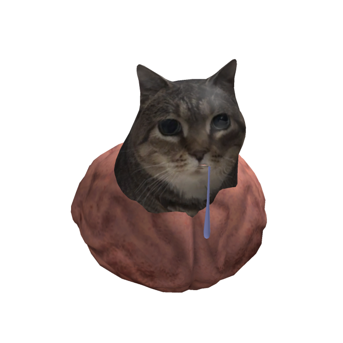 Brain Cat Meme