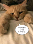내 친구들만 와ㅏㅏ