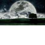 Mgv owner: (Moonlight)