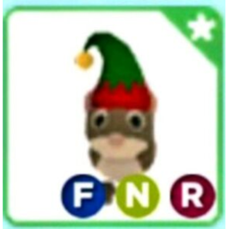 Adopt me buy the neon elf shrew