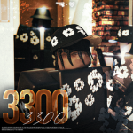 3300
