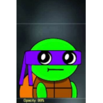 THE-TURTLE SQUAD