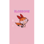∘∙Blossoms∙∘