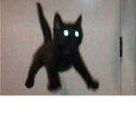 Dance piggi