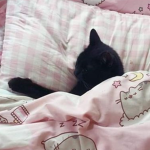 miffie