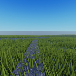 The Trails