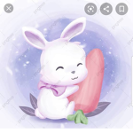 CuteBunnys Group