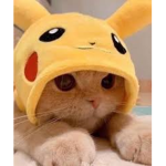 ~ isn’t she cute ~
