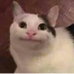 -Grupo Perron-