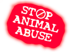 Stop Animal Abuse Club