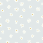•~Daisies~•