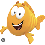 Mr grouper