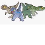 wrapping raptors