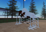 Northside Riding Academy
