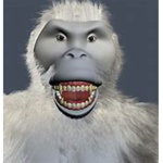 Yeti Chads united