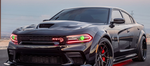 the hellcat sqaud