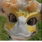 Furry fans!!!