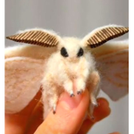 Moths :D