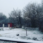 Grey's house
