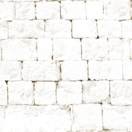 Bricks Texture Roblox decal