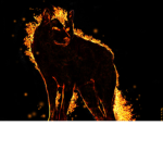 Flaming Wolfs!