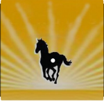 Sunshine riding club