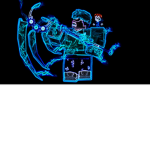 Fizz :)
